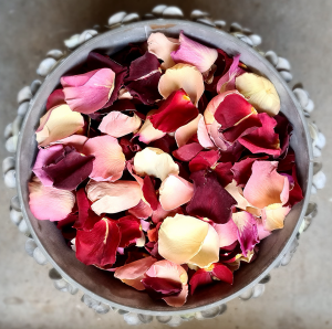 Romance-rose-petals