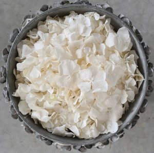 White Hydrangea petals
