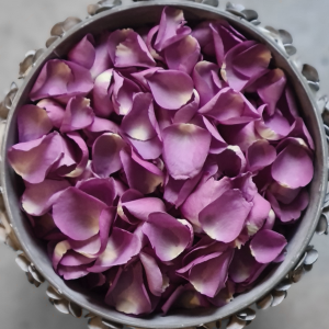 Purple rose petals